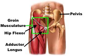 Hip Flexor Tightness and Why It Is Killing Your Low Back - Amity